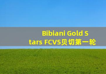 Bibiani Gold Stars FCVS贝切第一轮